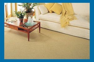 carpet flooring