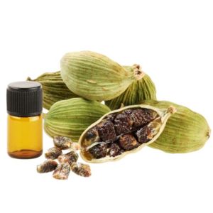 Cardamom Essential Oil