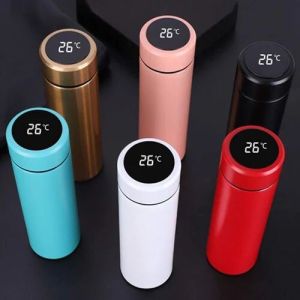 Temperature water bottle