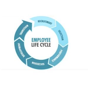 Employee`s Life Cycle/Data Management