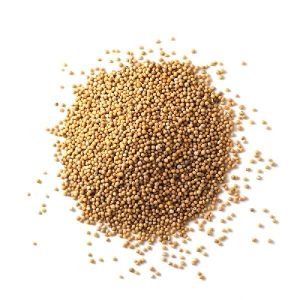 Natural Mustard Seeds