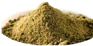 Tulsi Extract