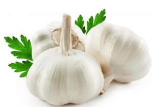 natural garlic