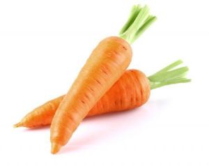 organic carrot