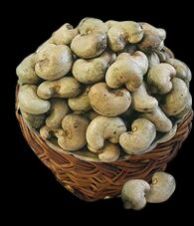 Raw Cashew Nuts