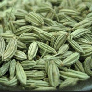 dried fennel seeds