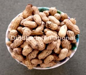 Natural Shelled Peanuts