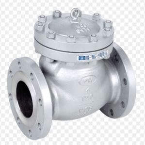 Check Valves