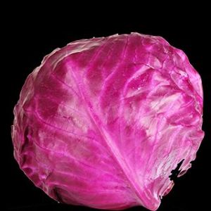 Red Cabbage