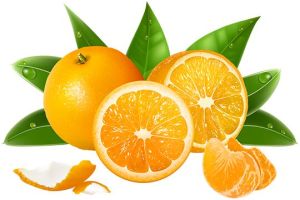 Fresh Orange