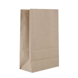 Plain Gift Paper Bags