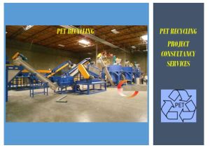 PET Recycling Project Consultant