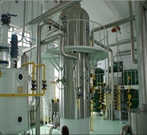 Edible Oil Refinery Plant