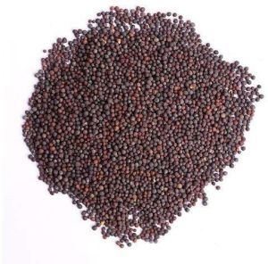 Brown Mustard Seeds