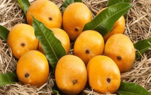 Organic Sweet Mango