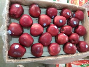 Premium Quality Apple