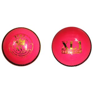 XL 1 Test Pink Leather Ball