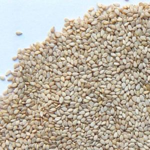 raw sesame seeds