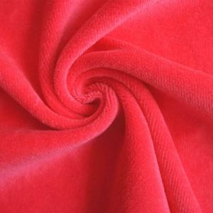 Velvet Fabric