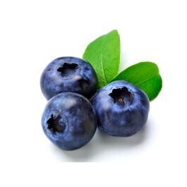 Fresh Blueberry