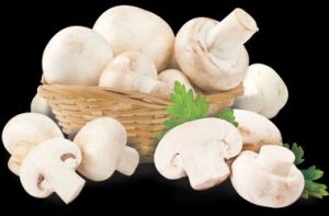 Fresh Mushroom