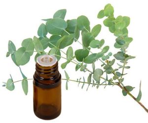 pure eucalyptus oil