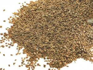 organic ajwain seed