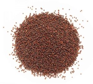 Organic Brown Mustard Seed