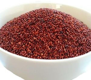 organic finger millet