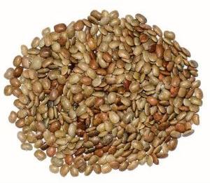 Horse Gram