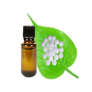 Camphor Oil