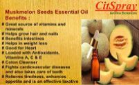 Muskmelon Seeds Essential Oil