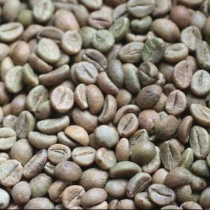 Robusta cherry coffee beans