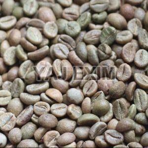 Robusta Cherry Coffee Beans
