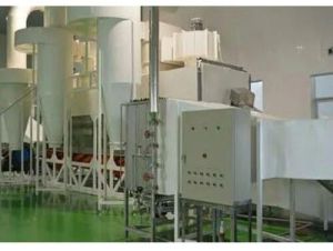 Ms Coconut Processing Machinery