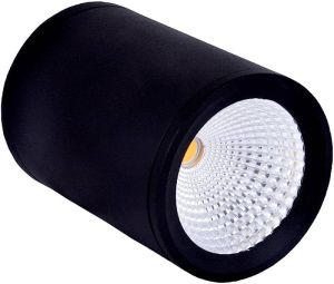 Rozela LED Cylindrical Lights