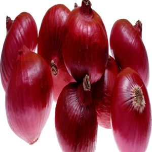 Red Onion