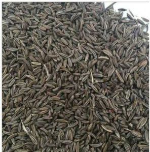 Black Cumin Seeds