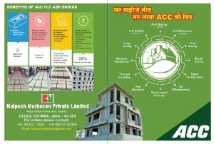 fly ash bricks
