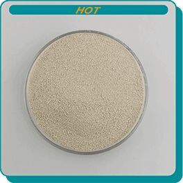 Lysine HCL Powder
