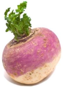 Organic Turnip