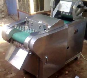 Vegetable Cutting Machine