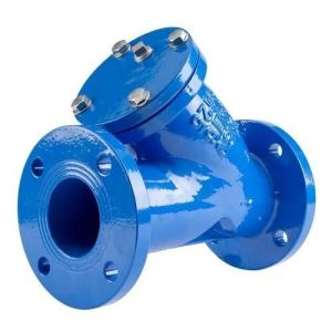 CI Y Strainer Flange End