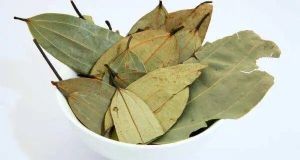 Bay Leaf