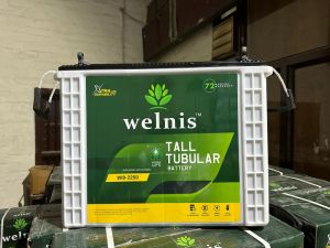 Welnis Tall Tubular Battery