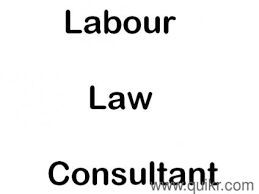 labour law consultant