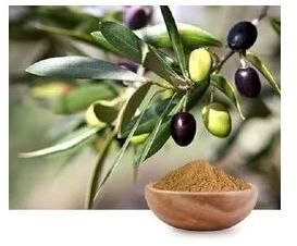 Olive Leaf Extract