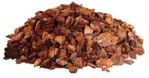 Pine Bark Extract