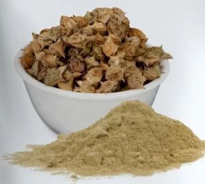 Gokhru Powder