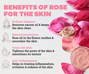 Rose Powder